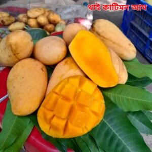 ৬ পিচ আমের চারার কম্বো প্যাকেজ